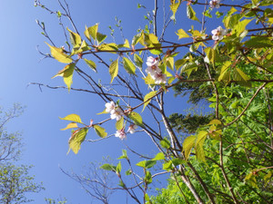 Imgp0196