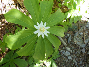 Imgp0207