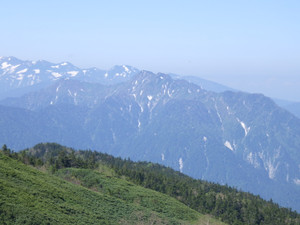 Imgp0231