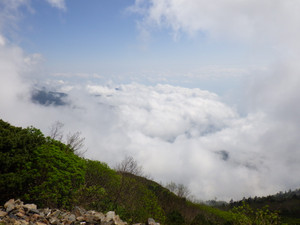 Imgp0282
