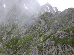 Imgp0495