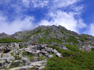 Imgp0576