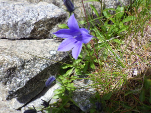 Imgp0578