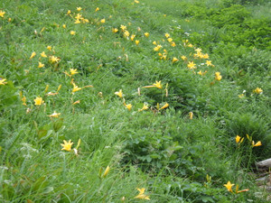 Imgp0709