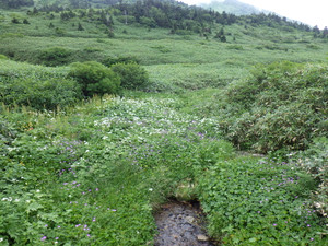 Imgp0739