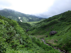 Imgp0784