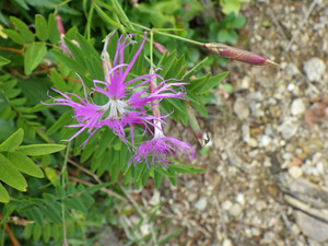 Imgp0802
