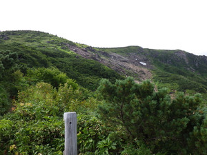 Imgp0814