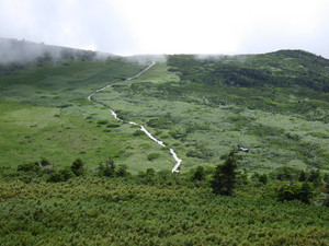 Imgp1375