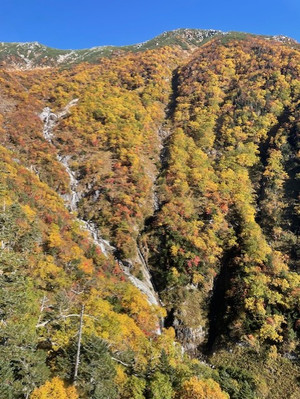 明日はレディースデイです。