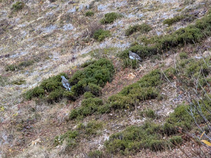 Pxl_20251022_061010996