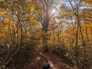 Pxl_20251023_061540833