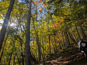 Pxl_20251028_001656735