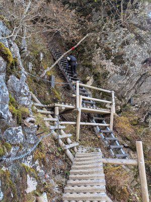 Pxl_20251029_023526600