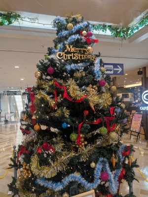 Pxl_20251201_055657467