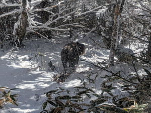 Pxl_20251204_035132346mp