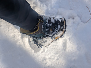 Pxl_20251204_042414139