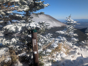 Pxl_20251204_043626321portrait