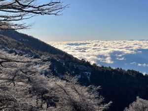 2025122202 2025122202