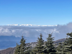 2025122206 2025122206