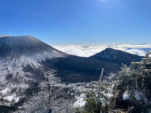 2025122207 2025122207