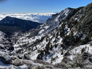 2025122209 2025122209