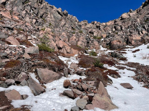 2025122218 2025122218