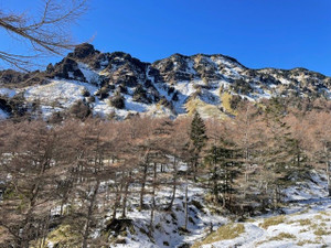 2025122226 2025122226