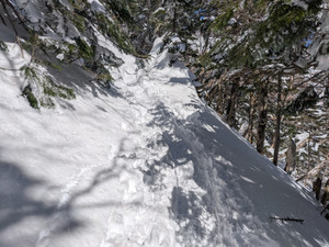 Pxl_20260118_031732926