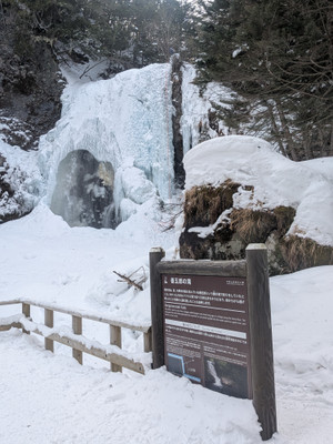 Pxl_20260210_060721071 Pxl_20260210_060721071