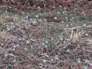 Pxl_20260304_042936389