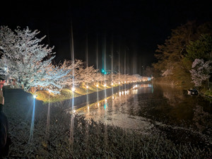 Pxl_20260406_113150142