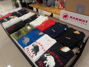 151de8a621e4479eba028fe808bf10cd