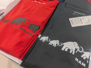 51467ef89e8443f08ea8a1a7087eaaed