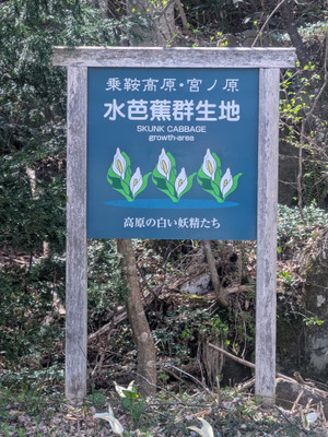 Pxl_20260420_043506480