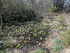 Pxl_20260420_043647836