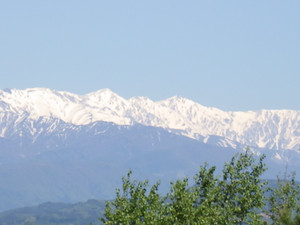 Imgp4291