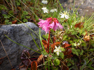 Imgp4582 Imgp4582
