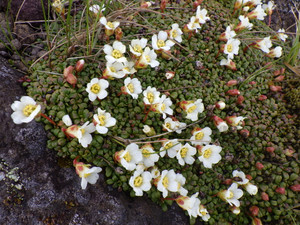 Imgp4614 Imgp4614