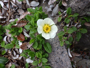 Imgp4655 Imgp4655