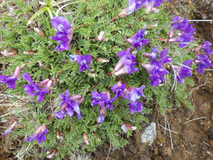 Imgp4656 Imgp4656