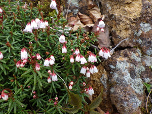 Imgp4699 Imgp4699