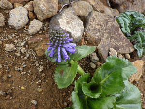 Imgp4750 Imgp4750