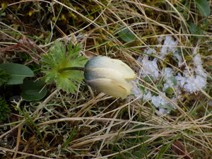 Imgp4758 Imgp4758