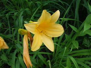 Imgp4941