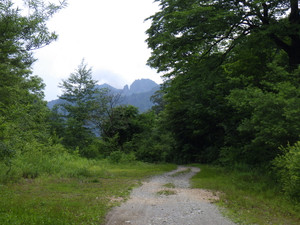 Imgp5290