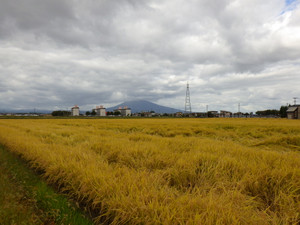 Imgp5864