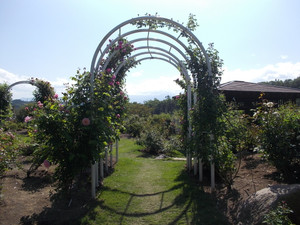 Dscn7350