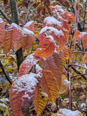 1761899583684 1761899583684