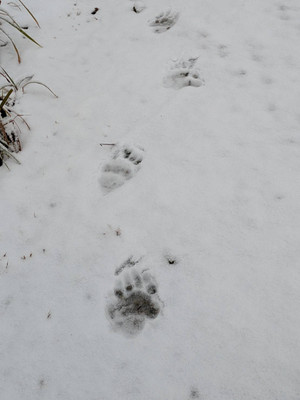 1761899592267 1761899592267